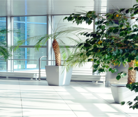natures-window-building-grounds-maintenance