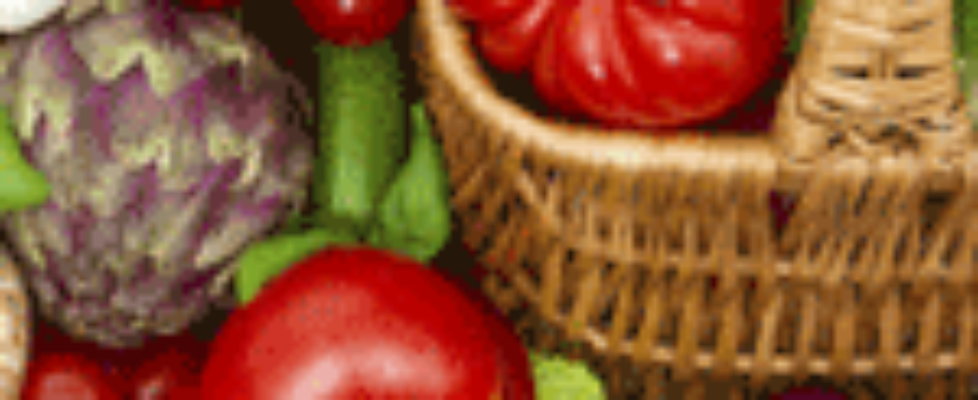 natures-window-featured-150x150