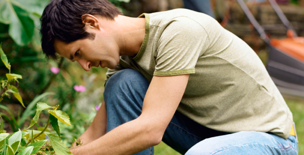 natures-window-grounds-maintenance