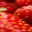 natures-window-strawberry-banner-150x125
