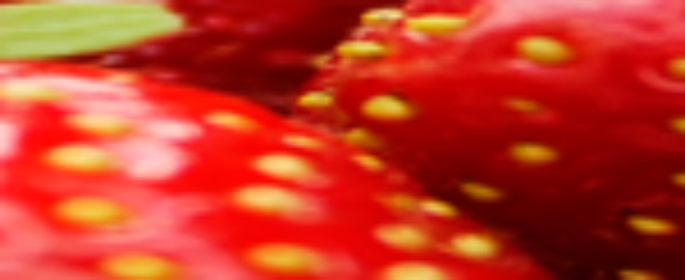natures-window-strawberry-banner-150x125
