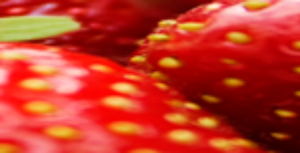 natures-window-strawberry-banner-150x125