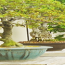 natures_window__commercial_banner-150x125